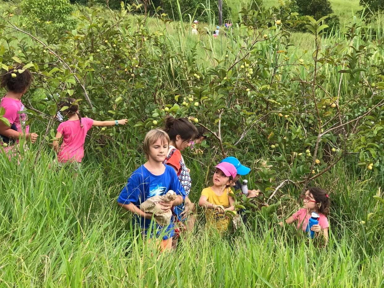Children in nature