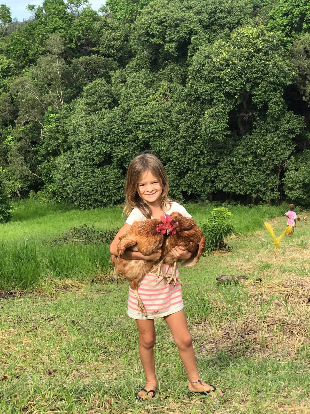 Pampering the hens