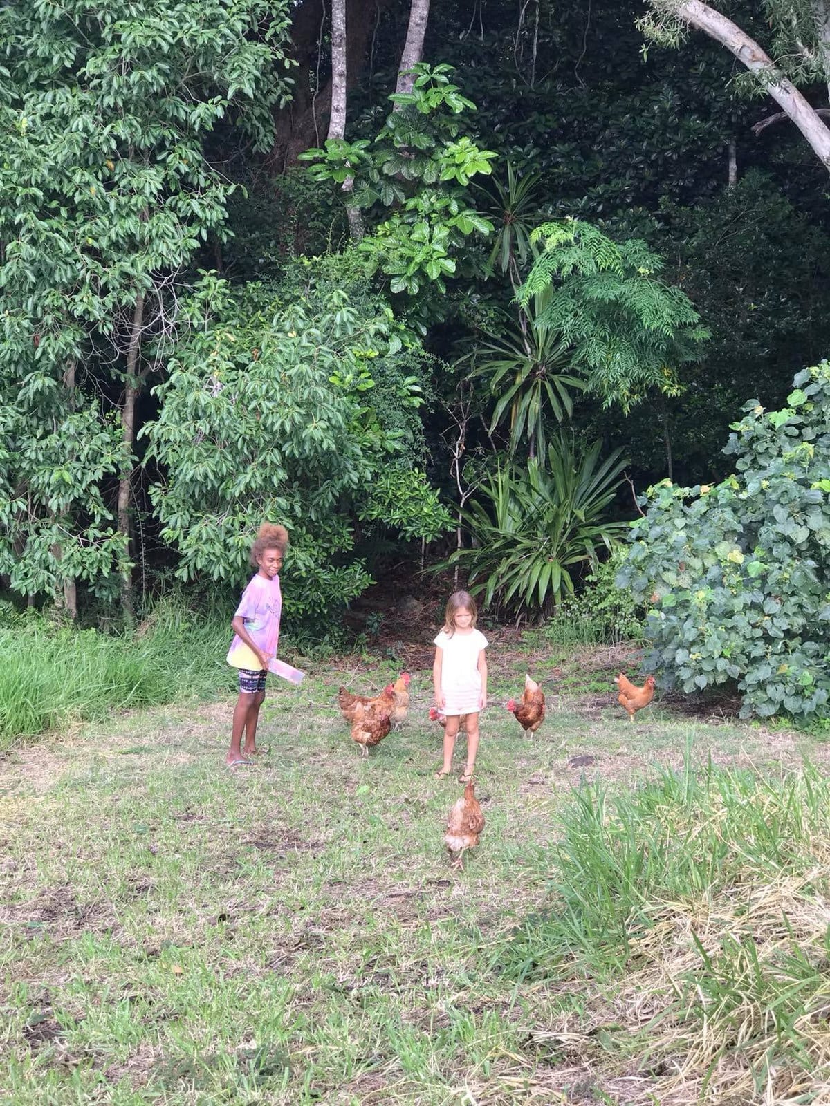 Outing with the hens