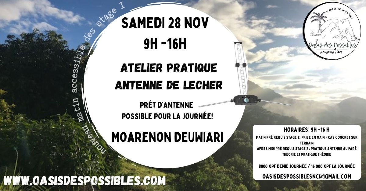 Practical Lecher antenna workshop with Moarenon