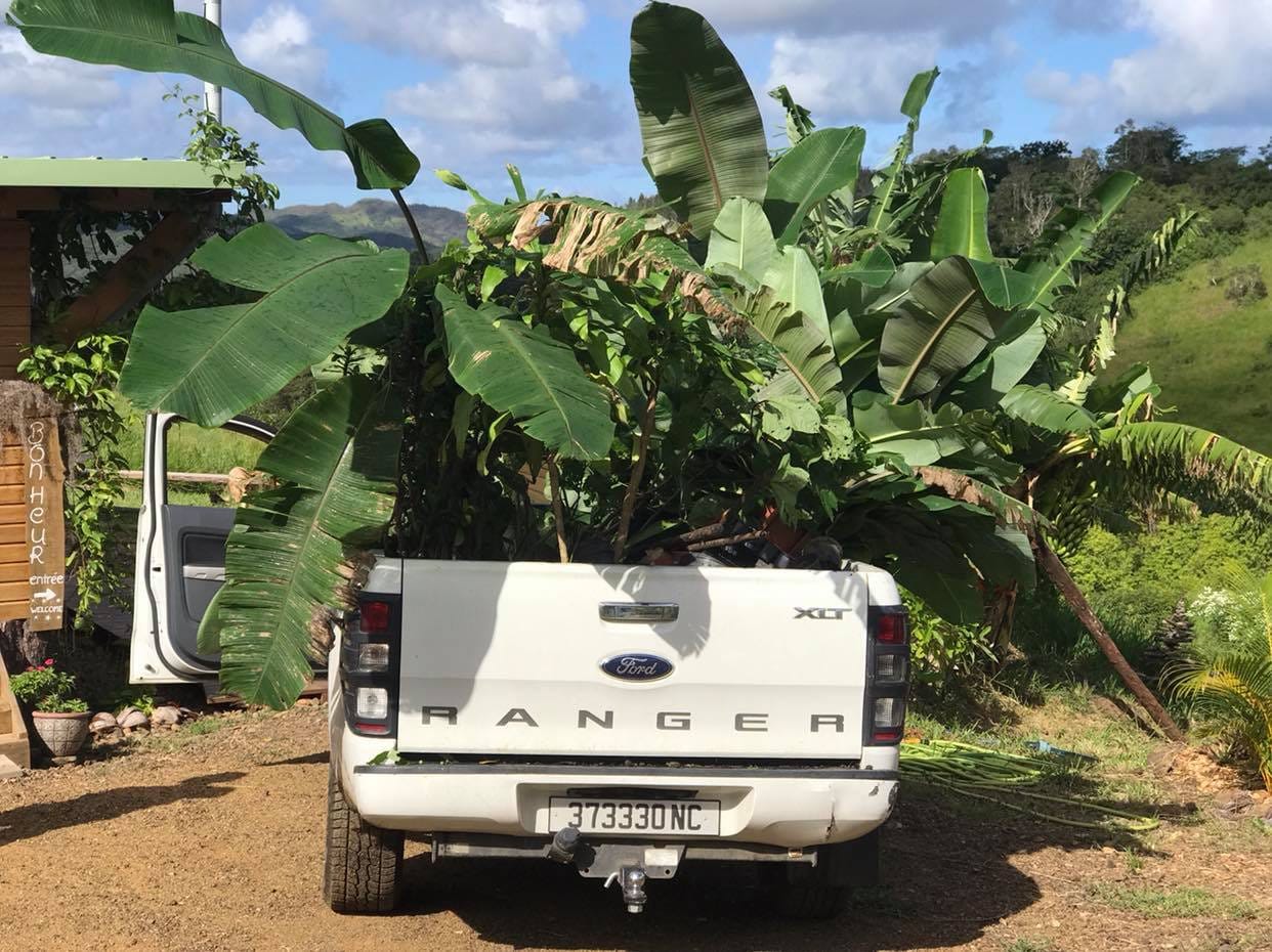 Carrying cuttings in the pick-up