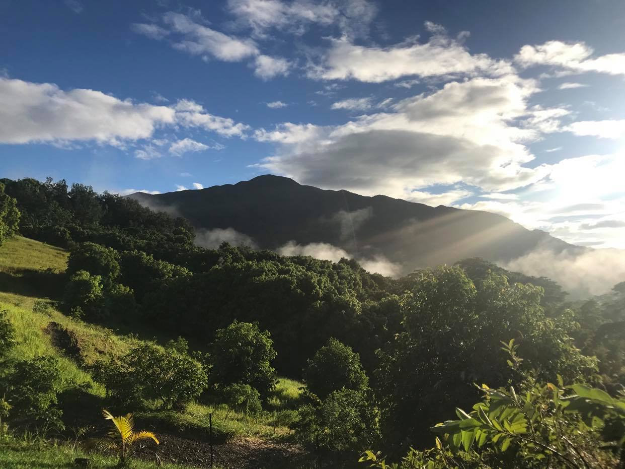 Mountain view