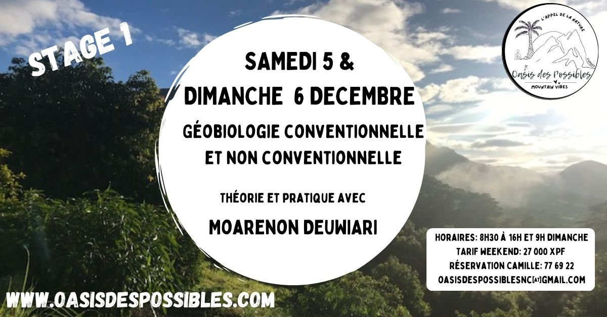 Géobiologie conventionnelle et non conventionnelle