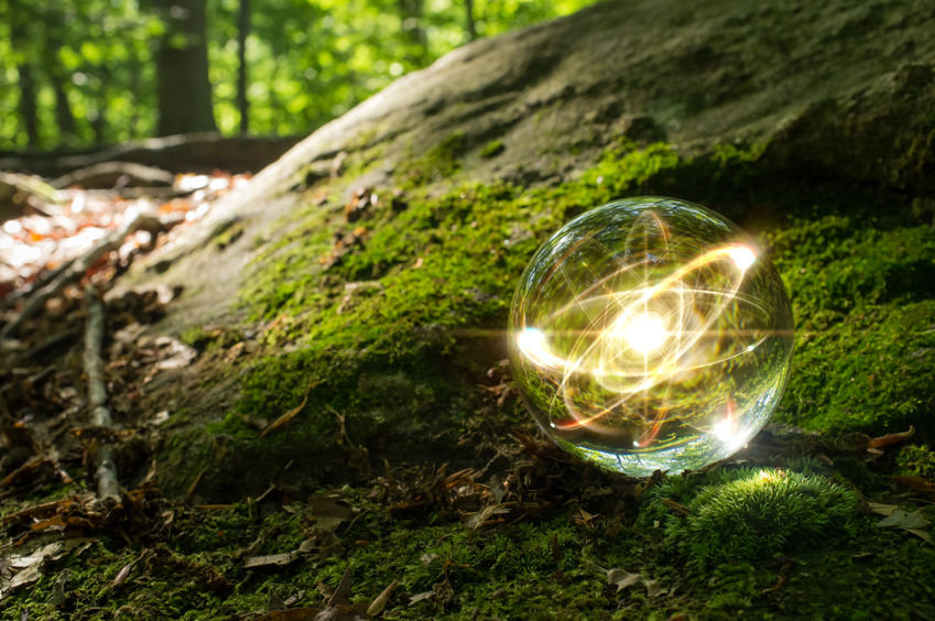 A crystal ball resting on moss in the forest