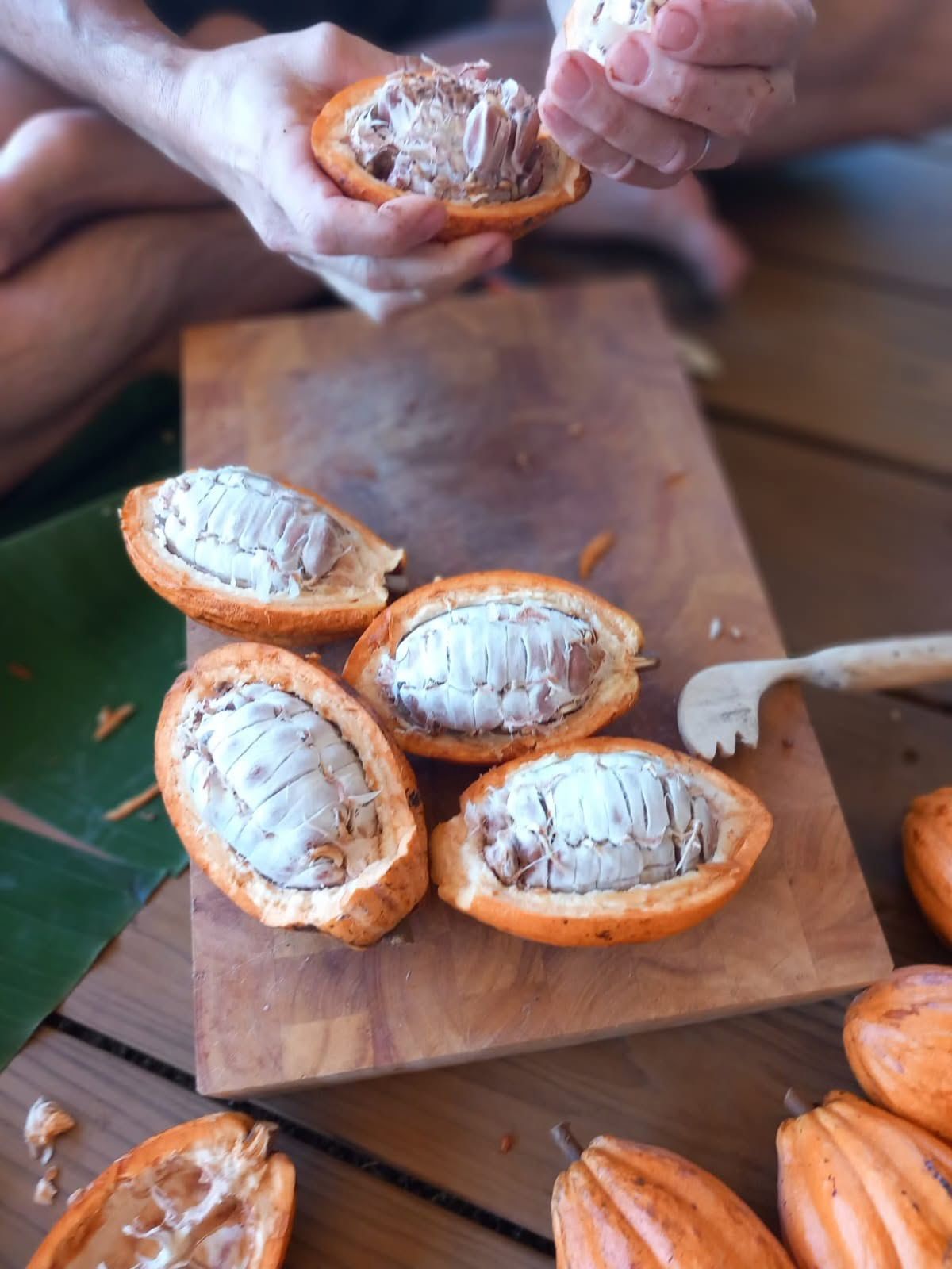 Cacao processing