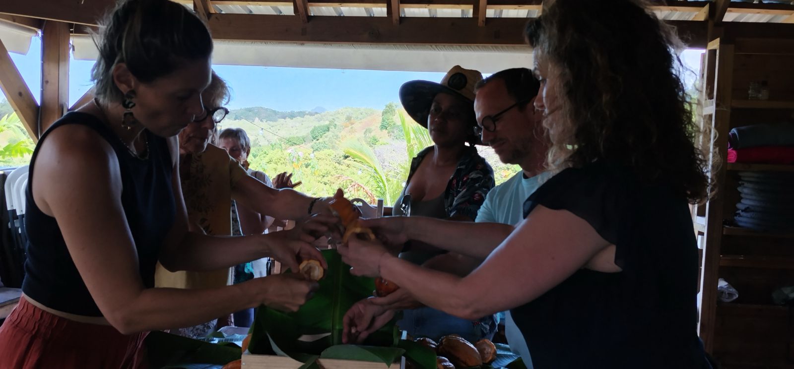 Group processing cacao beans