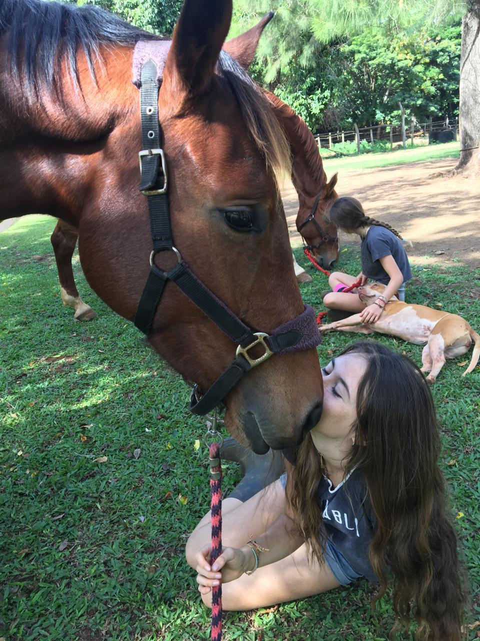 Yala ranch équitation cheval