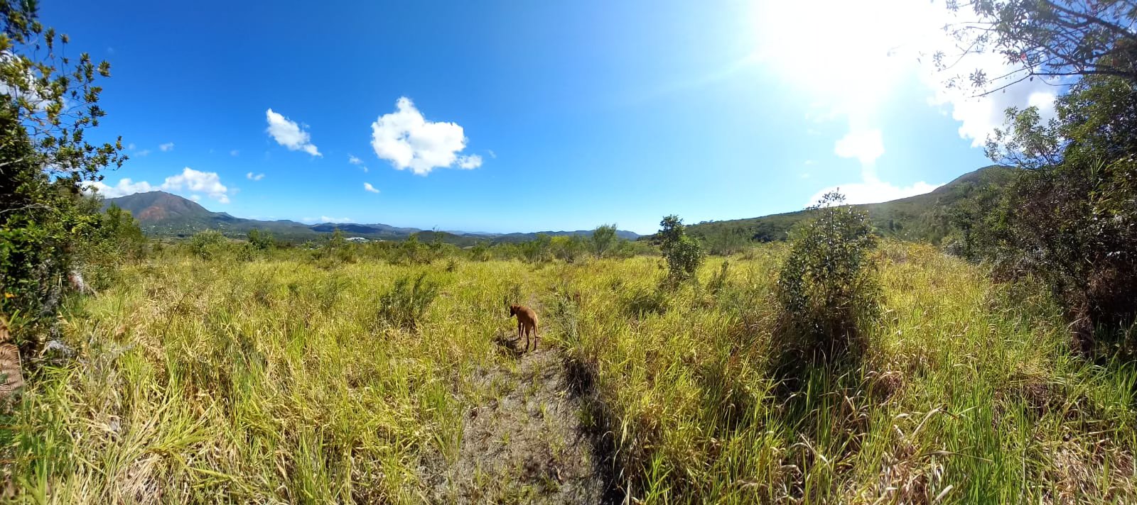 On the way to the waterhole, hiking
